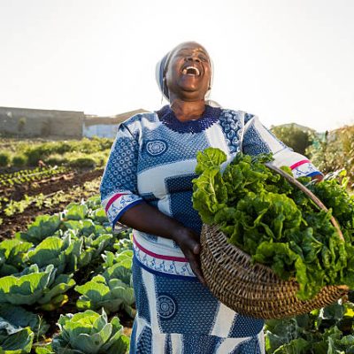 Adult African Female wearing Traditional clothes and face paint holds back her head and laughs , holding a basket filled with vegetables, spinach, she has harvested.